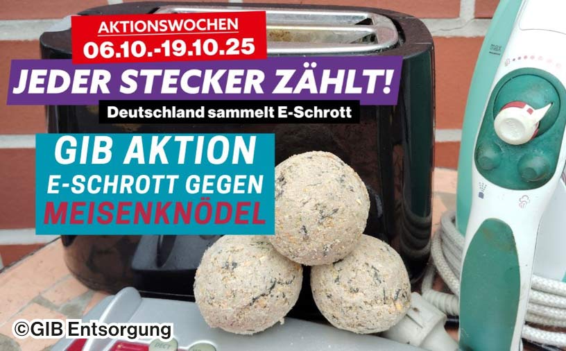 Aktionsdaten über einem Bild mit einem alten Toaster, Bügeleisen und den Preis für den Eintausch, Meisenknödel.